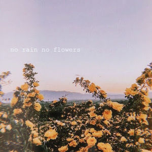 Meet your Posher, Hayley